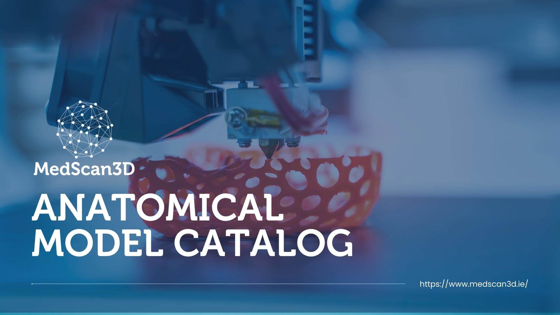 Anatomical Model Catalog MedScan3D